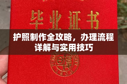 焉耆护照制作全攻略，办理流程详解与实用技巧